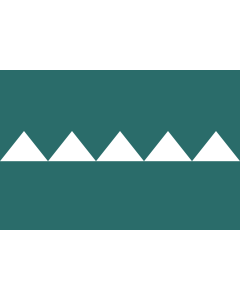 Flag: Salinas, Puerto Rico |  landscape flag | 1.35m² | 14.5sqft | 90x150cm | 3x5ft 