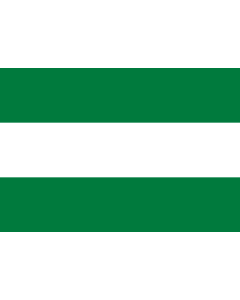 Flag: Department of Santa Cruz in Bolivia |  landscape flag | 1.35m² | 14.5sqft | 90x150cm | 3x5ft 