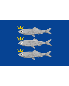 Flag: Scheveningen |  landscape flag | 1.35m² | 14.5sqft | 90x150cm | 3x5ft 