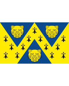Flag: The county flag of Shropshire |  landscape flag | 1.35m² | 14.5sqft | 90x150cm | 3x5ft 