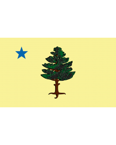 Flag: Maine  1901 to 1909 |  landscape flag | 1.35m² | 14.5sqft | 90x150cm | 3x5ft 