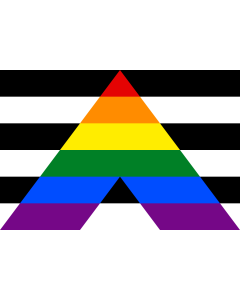 Flag: Straight Ally |  landscape flag | 1.35m² | 14.5sqft | 90x150cm | 3x5ft 