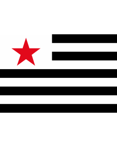 Flag: Breton Communist Party |  landscape flag | 1.35m² | 14.5sqft | 90x150cm | 3x5ft 