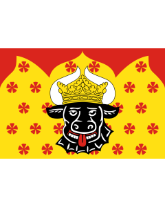 Flag: Syaskelevskoe rural settlement |  landscape flag | 1.35m² | 14.5sqft | 90x150cm | 3x5ft 