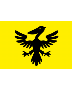 Flag: Syldavia |  landscape flag | 1.35m² | 14.5sqft | 90x150cm | 3x5ft 