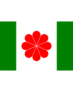 Flag: Proposed flag of Taiwan favoured by some supporters and activists of the Taiwan Independence Movement |  landscape flag | 1.35m² | 14.5sqft | 90x150cm | 3x5ft 