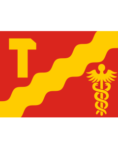 Flag: Tampere, Finland |  landscape flag | 1.35m² | 14.5sqft | 100x140cm | 40x55inch 