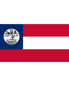 Flag: Tennessee 1861 proposed |  landscape flag | 1.35m² | 14.5sqft | 85x160cm | 35x60inch 