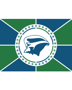 Flag: Martinique from May 2019 to November 2021 |  landscape flag | 1.35m² | 14.5sqft | 100x140cm | 40x55inch 