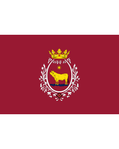 Flag: Teruel | Teruel  Aragón | Tergüel  Aragón |  landscape flag | 1.35m² | 14.5sqft | 90x150cm | 3x5ft 