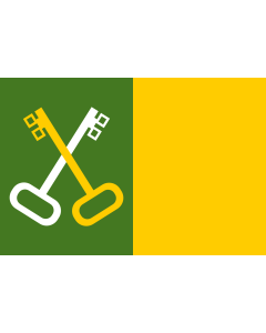 Flag: Municipality of Toa Baja, Puerto Rico |  landscape flag | 1.35m² | 14.5sqft | 90x150cm | 3x5ft 