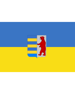 Flag: Zakarpattia Oblast of western Ukraine  not officially adopted |  landscape flag | 1.35m² | 14.5sqft | 90x150cm | 3x5ft 
