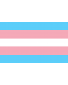 Flag: Transgender Pride | The Transgender Pride flag was designed by Monica Helms |  landscape flag | 1.35m² | 14.5sqft | 90x150cm | 3x5ft 