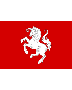 Flag: Twenthe Netherlands |  landscape flag | 1.35m² | 14.5sqft | 90x150cm | 3x5ft 