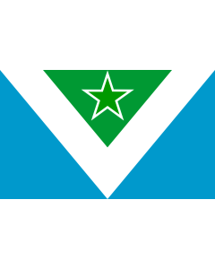 Flag: Vegana Esperanta | Miksita flago de veganismo kaj Esperanto |  landscape flag | 1.35m² | 14.5sqft | 90x150cm | 3x5ft 