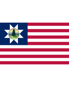 Flag: Vermont 1837-1923 |  landscape flag | 1.35m² | 14.5sqft | 90x150cm | 3x5ft 