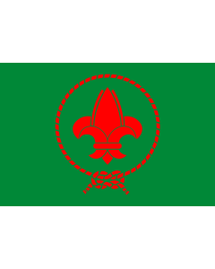 Flag: Vietnamese Scout Association | Vietnamese Scout Association, used since 1930 |  landscape flag | 1.35m² | 14.5sqft | 90x150cm | 3x5ft 