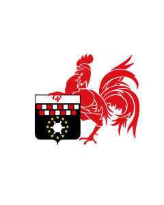 Flag: Ville be Charleroi | Ville de Charleroi en Belgique |  landscape flag | 1.35m² | 14.5sqft | 90x150cm | 3x5ft 