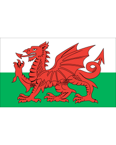 Flag: Wales 28 October 2011 |  landscape flag | 1.35m² | 14.5sqft | 90x150cm | 3x5ft 