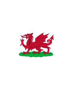 Flag: Wales, 1807-1953 |  landscape flag | 1.35m² | 14.5sqft | 80x160cm | 30x60inch 