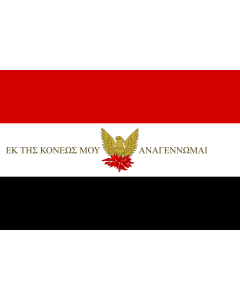 Flag: A flag used during the Greek Revolution |  landscape flag | 1.35m² | 14.5sqft | 90x150cm | 3x5ft 