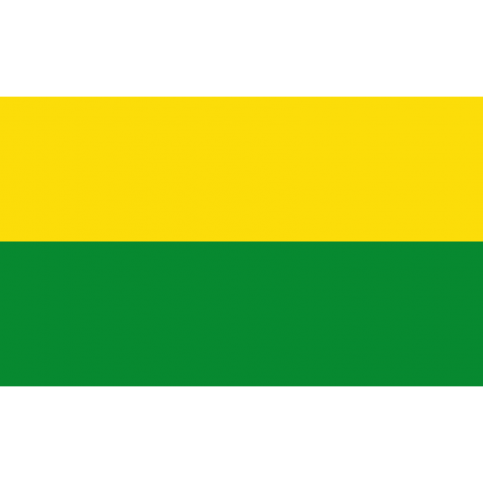 Flag: Generic flag yellow #fcdd09 and green #078930 5 × 3, colors ...